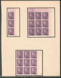 Lot 81