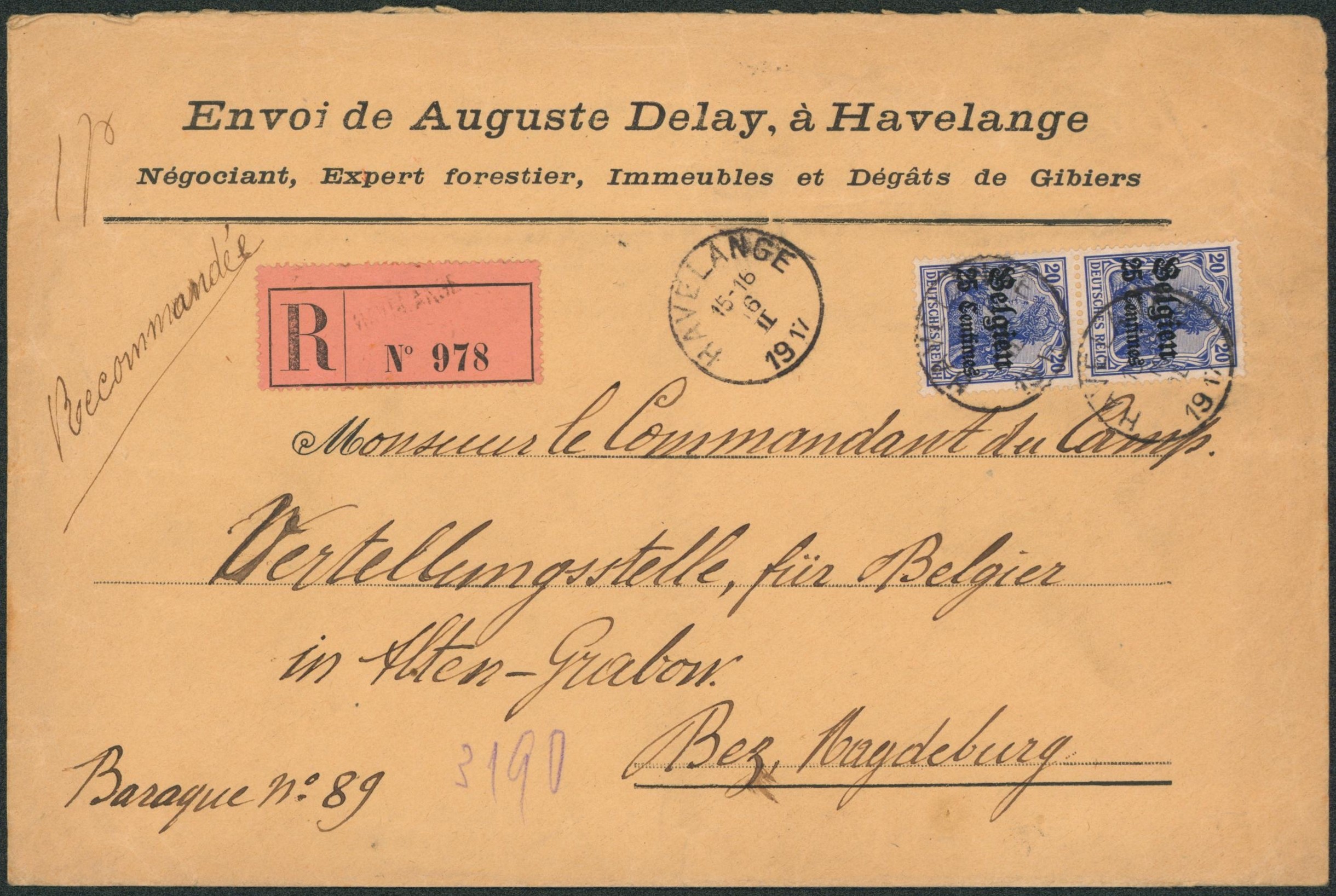 OC4 en paire sur grande enveloppe en recommandé (étiquette française ! ) de Havelange > Magdeburg (Allemagne).