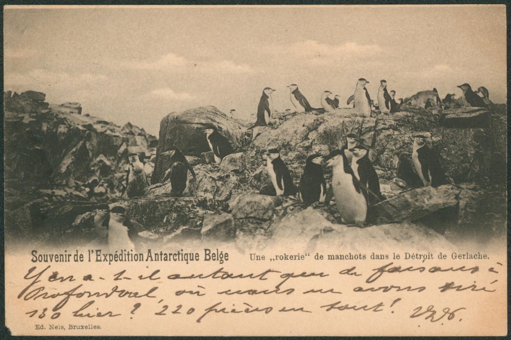 n°56 sur CP vue (souvenir de l'expédition antarctique Belge - Un rokerie de manchots dans le détroit de Gerlache) Ed. Nels > Bruxelles. TB
