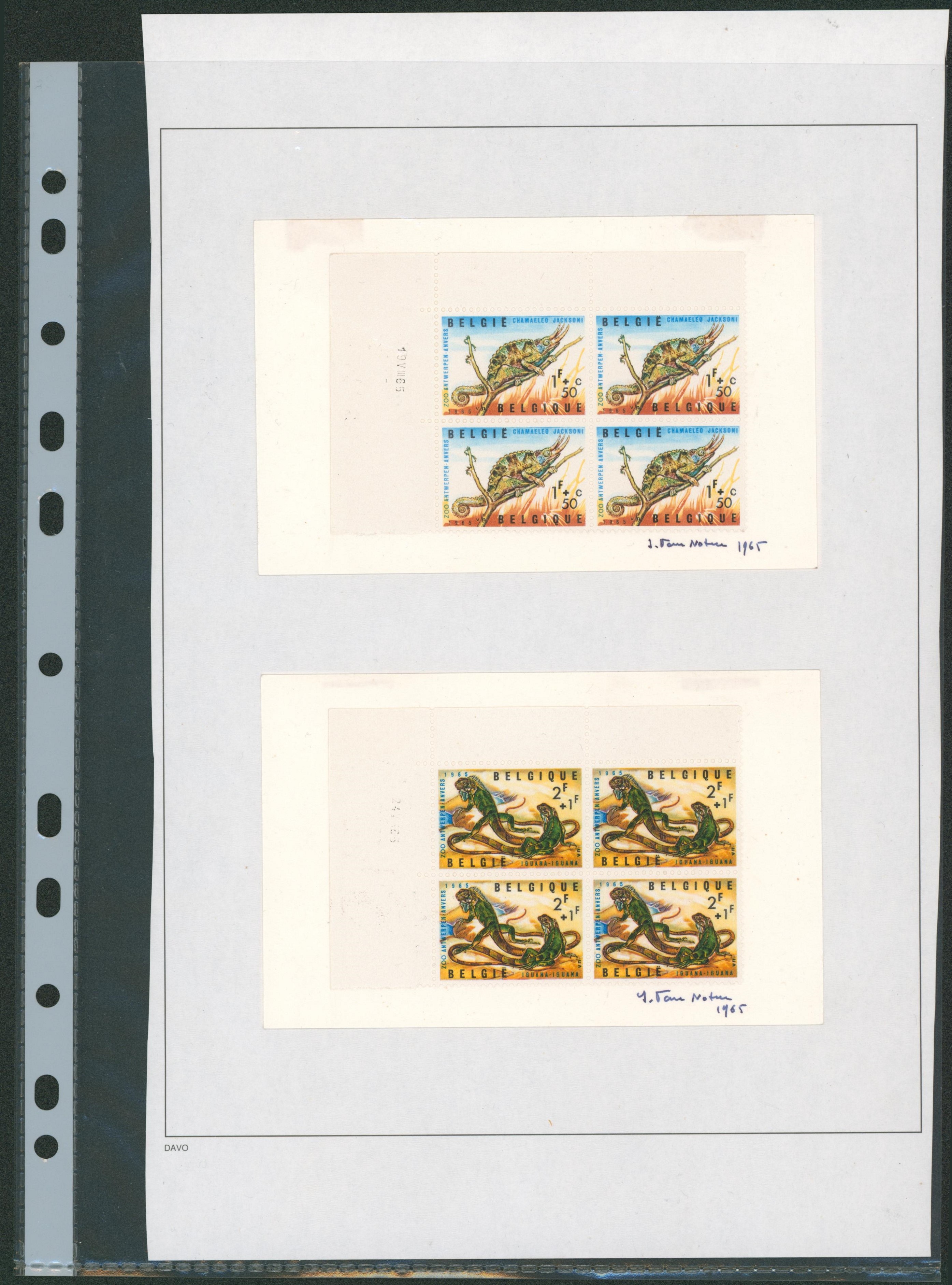 Signature de graveur de timbre - Zoo d'Anvers III (Reptiles) - Série en bloc de 4 signés J. Van Noten