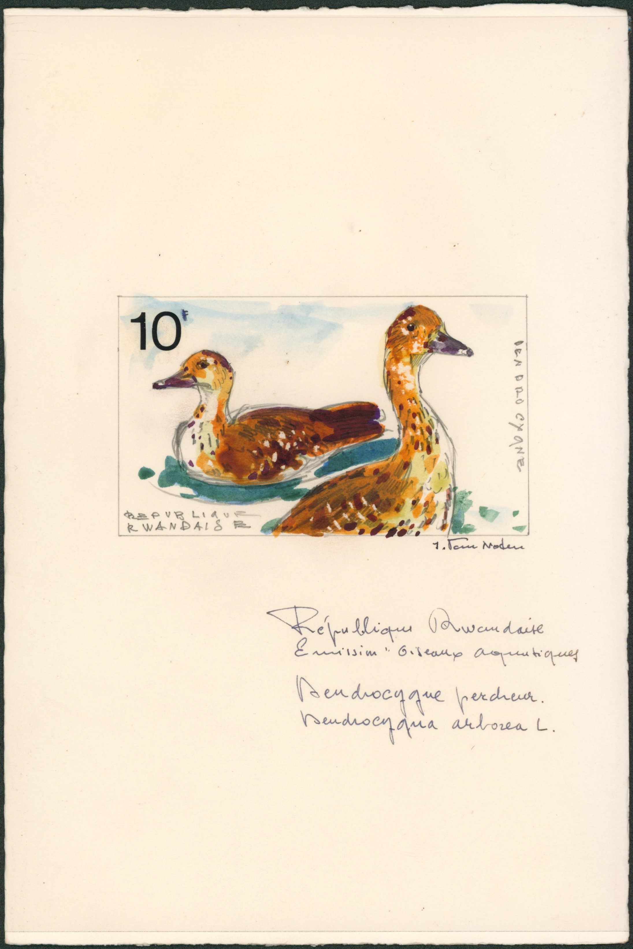 Projet non retenu réalisé par J. Van Noten sur les oiseaux aquatiques (République Rwandaise, 1975) 10F signé + couleurs. fait à la peinture et au crayon sur papier cartonné protégé par un plastique.