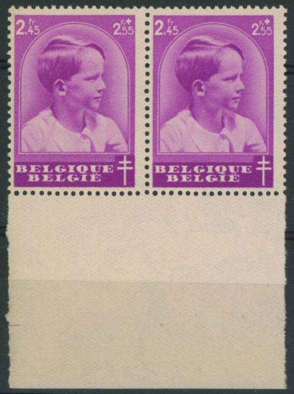 Antituberculeux - n°445 en paire dont V1** neuf sans charnières (MNH)