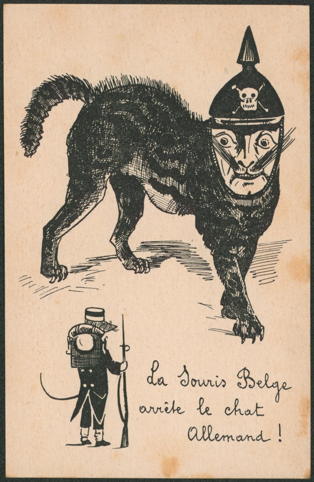 Carte postale satirique (WWII) - La souris Belge arrête le chat allemand / Imprimé à Paris.