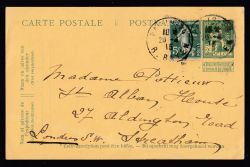 Lot 259