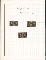 Lot 5