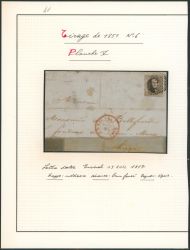 Lot 9