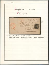 Lot 10