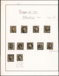 Lot 11