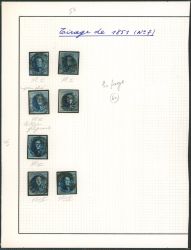 Lot 13
