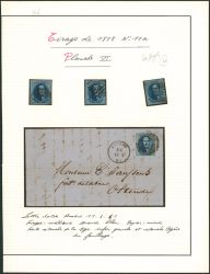 Lot 21