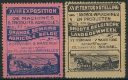 Lot 141