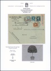 Lot 331