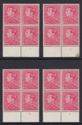 Image Lot