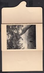 Image miniature