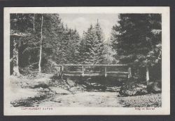 Image miniature