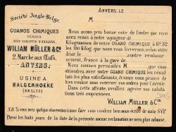 Image miniature