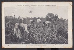 Image miniature