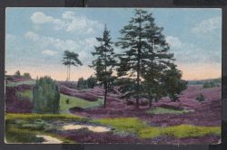 Image miniature