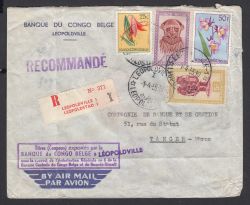 Image Lot