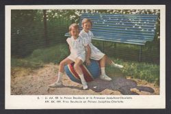 Image miniature