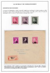 Image Lot