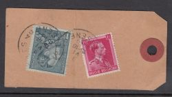 Image Lot