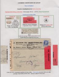 Image Lot
