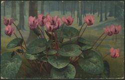 Image miniature