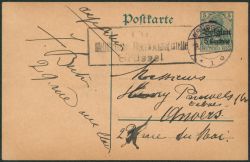Image Lot