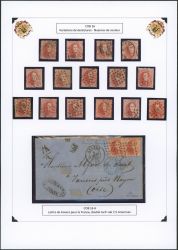 Image Lot