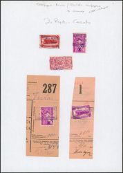 Image Lot