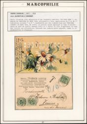 Image Lot