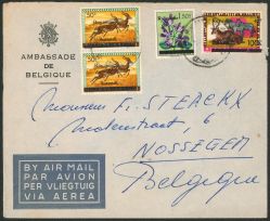 Image Lot