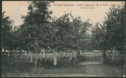 Image miniature