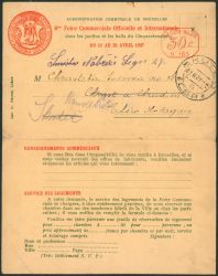 Image Lot