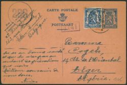Image Lot