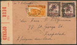Image Lot