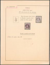 Image Lot