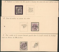 Image Lot