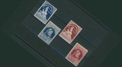 Image Lot