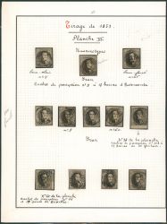Image Lot