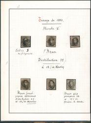 Image Lot
