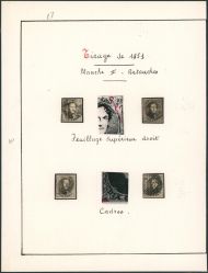 Image Lot