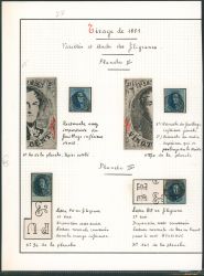 Image Lot