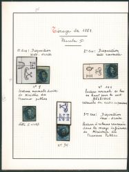 Image Lot