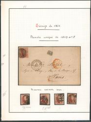 Image Lot