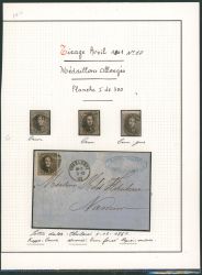 Image Lot