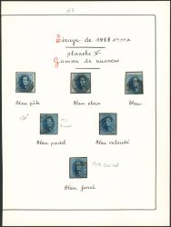 Image Lot