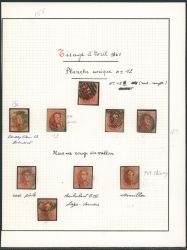 Image Lot