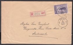 Image Lot